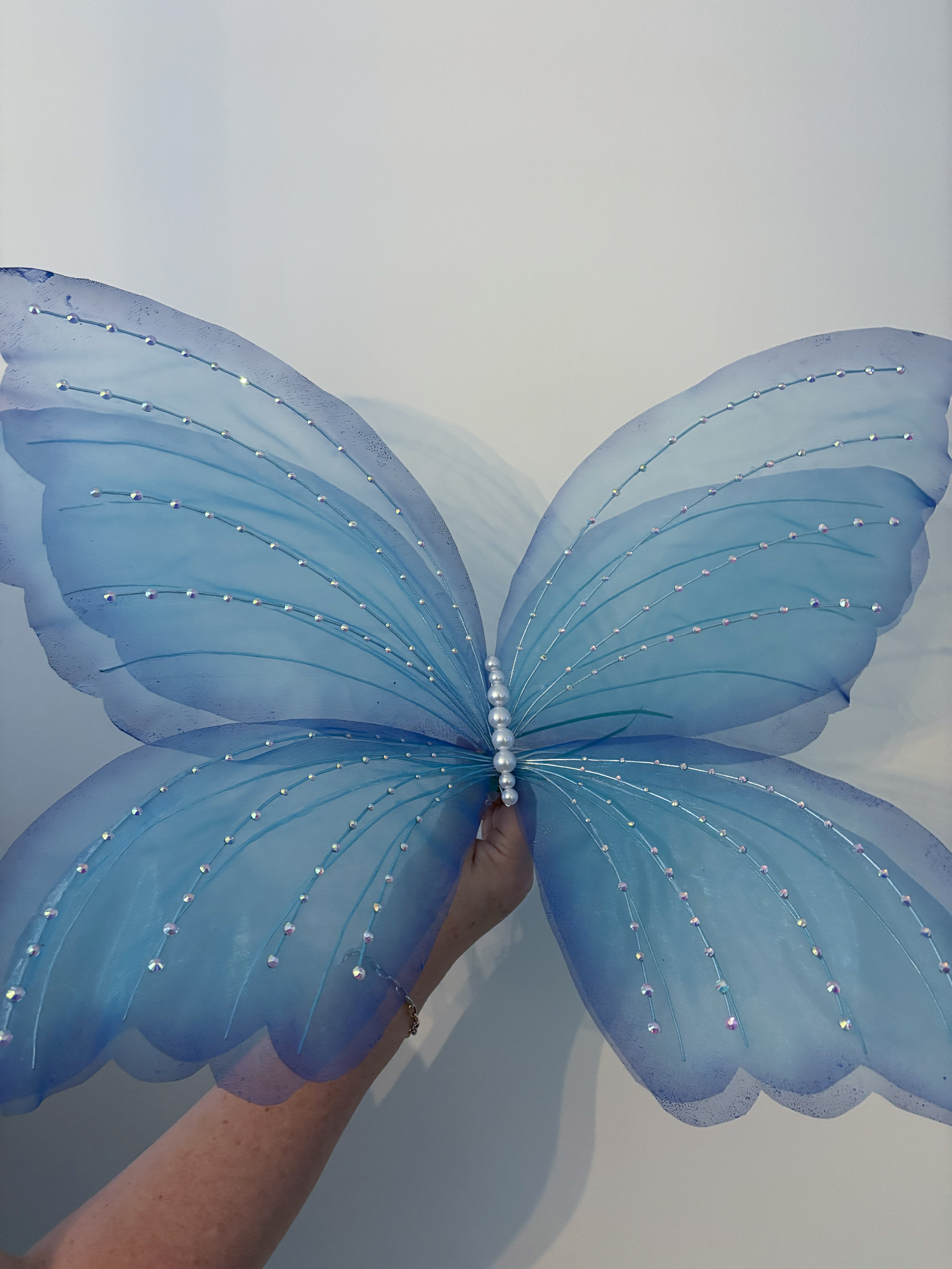 Geëvolueerd Vlinder